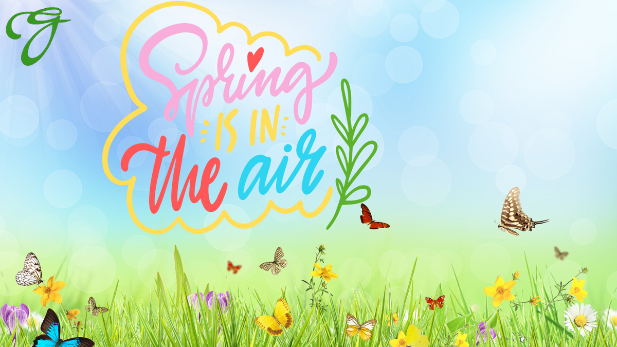 Spring Refresh