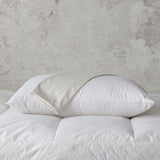 Ion Pillow Protector-Gina's Home Linen Ltd