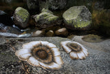 Magnolia Bath Rug-Gina's Home Linen Ltd